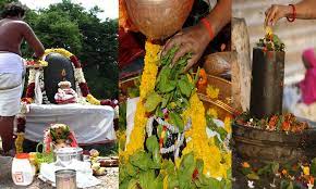 சிவ பூஜைக்குரிய மலர்களும்... தீரும் பிரச்சனைகளும்...