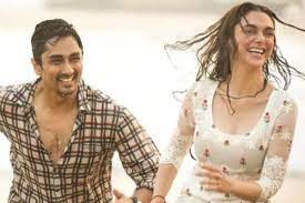 காதல் வதந்தி: எதையும் தெளிவுப்படுத்த வேண்டிய அவசியம் இல்லை - நடிகை அதிதி ராவ்