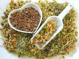 சிறுதானிய உணவுகளை தினமும் சாப்பிட்டால் சர்க்கரை வியாதி வராதா?