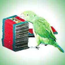 கிளிகளை வைத்து ஜோசியம் பார்ப்பவர்கள் மீது கடும் நடவடிக்கை