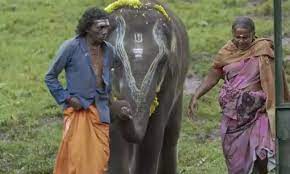 ஆஸ்கர் விருதுடன் தி எலிஃபேண்ட் விஸ்பரர்ஸ் பொம்மன், பெள்ளி தம்பதியினர்.. வைரலாகும் புகைப்படம்