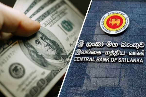 இலங்கையில் டொலர் பிரச்சினை முடிவுக்கு வந்துள்ளதாக மத்திய வங்கி தெரிவிப்பு