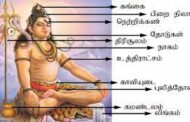 சிவபெருமானின் தோற்றமும்... விளக்கமும்..