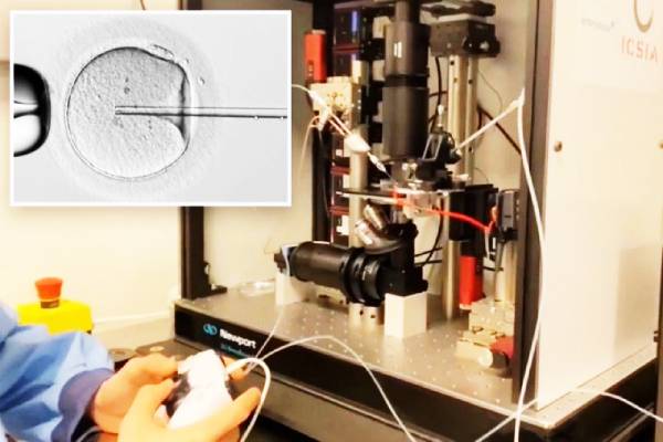 செயற்கை கருத்தரிப்பின் முதல் குழந்தைகள் பிரசவம்..!