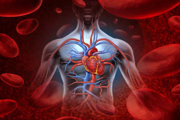 உடம்பில் ரத்தம் குறைவாக இருக்கின்றதா?