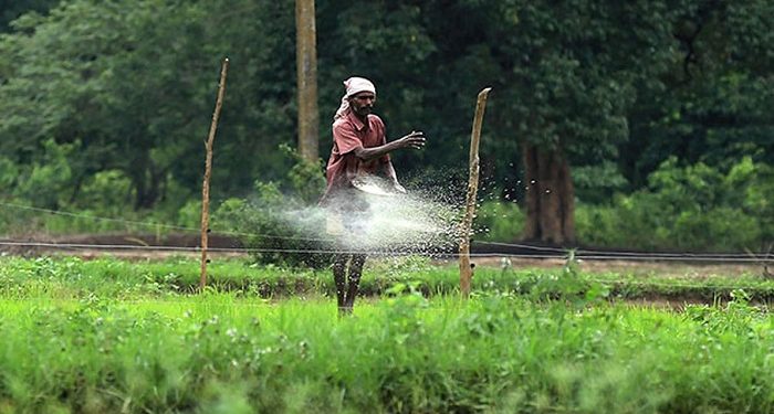 விவசாயிகளுக்கு போதுமான அளவு எம்ஓபி மற்றும் யூரியா உரம் வழங்க தீர்மானம் !!
