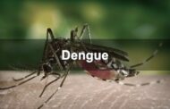 டெங்கு நுழம்பு பரவும் இடங்கள் அடையாளம் காணப்பட்டால் அபராதம் – முக்கிய அறிவிப்பு