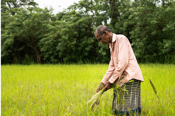 கிளிநொச்சியில் விவசாயி ஒருவருக்கு இழைக்கப்பட்ட அநீதி