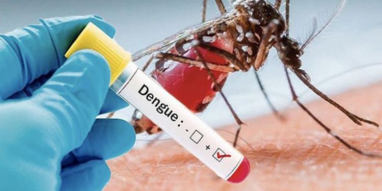 டெங்கு அபாய வலயங்கள் அறிவிப்பு!