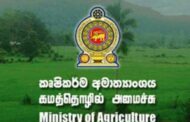 பழப்பயிர்ச்செய்கை தொடர்பாக கமத்தொழில் அமைச்சு எடுத்துள்ள நடவடிக்கை!