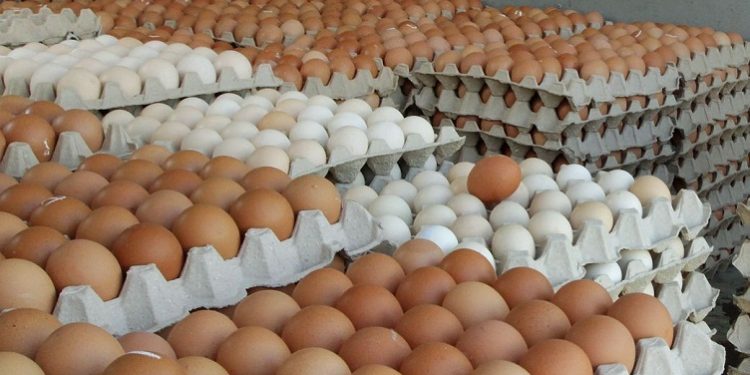 ஒரு நாளைக்கு ஒரு மில்லியன் முட்டை இறக்குமதி