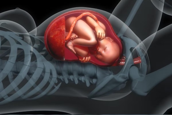 கர்ப்ப கால மேக்கப் - கருவில் உள்ள குழந்தையை பாதிக்குமா ...!