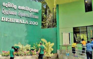 தெஹிவளை மிருகக்காட்சிசாலையை பார்வையிட இலவச வாய்ப்பு