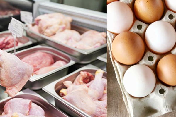 கோழி இறைச்சி இறக்குமதி தொடர்பில் விசேட அறிவிப்பு