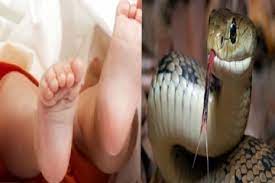 பாம்பு தீண்டியதால் பலியான 6 மாதக் குழந்தை காத்தான்குடியில் சோகம்!