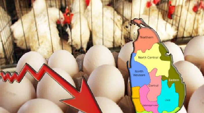 மக்களுக்கு மகிழ்ச்சித் தகவல் : கோழி இறைச்சியின் விலை சடுதியாக குறைவு