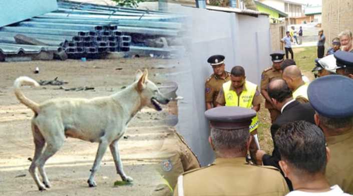 நாயை காப்பாற்றும் முயற்சியில் பரிதாபமாக உயிரிழந்த நபர்