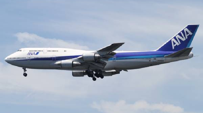 குடிபோதையில் பணியாளரின் கையை கடித்த பயணி: அவசரமாக தரையிறக்கப்பட்ட விமானம்