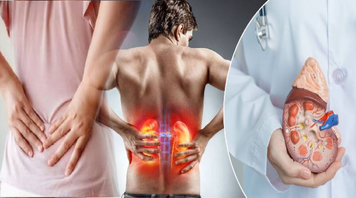 இந்த அறிகுறிகள் இருந்தால் அலட்சியம் செய்யாதீர்கள்... சிறுநீரக பாதிப்பு உறுதி