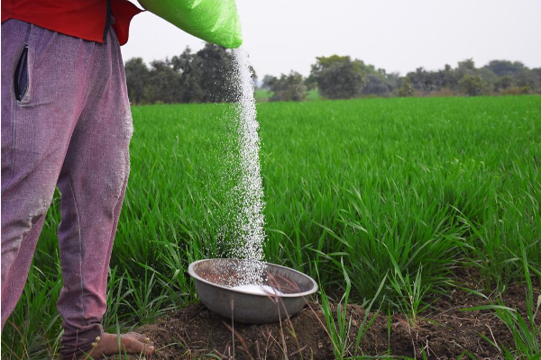 விவசாயிகளின் வயிற்றில் அடித்த பத்து புள்ளிகள் சிக்கினர்