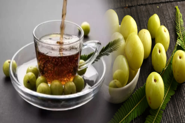 உடலுக்கு ஆரோக்கியம் தரும் நெல்லிக்காய் டீ செய்வது எப்படி?