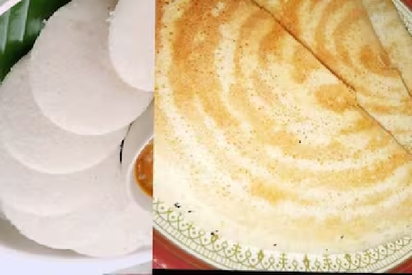 இட்லி தோசையால் சுற்றுச்சூழலுக்கு ஆபத்து :விஞ்ஞானிகள் அதிர்ச்சி தகவல்