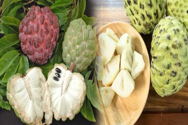 மூட்டுவலி பிரச்சனை இருக்கா? அப்போ தினமும் ஒரு சீதாப்பழம் சாப்பிடுங்க