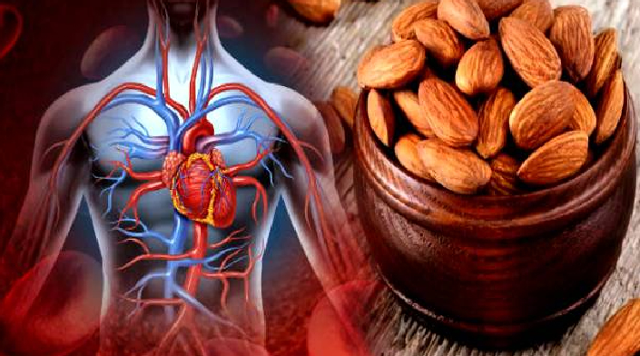 இதய ஆரோக்கியத்தை வலுப்படுத்தும் வாதுமை பருப்பு.. யாரெல்லாம் சாப்பிடலாம் தெரியுமா?