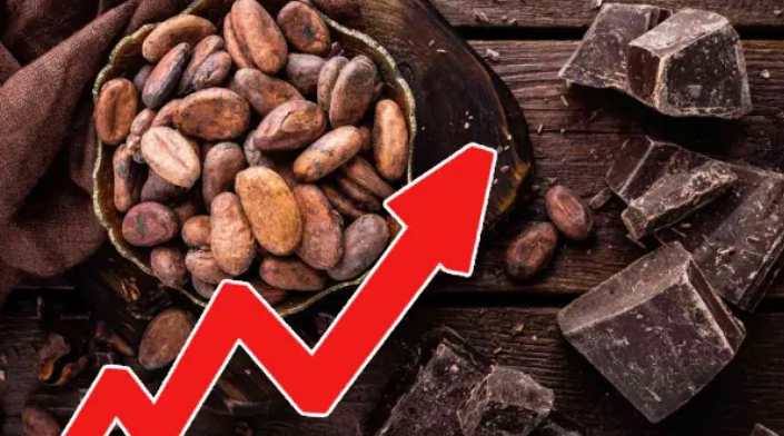 வரலாறு காணாத அளவு கொக்கோ விலை உயர்வு