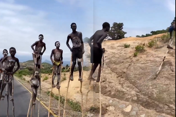 10 அடி குச்சியில் நடக்கும் பழங்குடி மக்கள் என்ன காரணம் தெரியுமா? வைரலாகும் வீடியோ