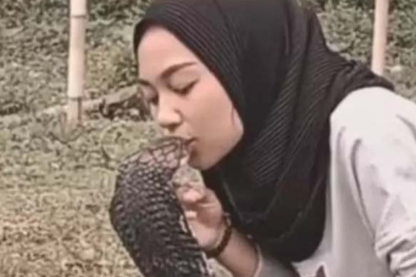 படமெடுத்த ராஜநாகத்திற்கு மாறி மாறி முத்தம் கொடுத்த இளம்பெண்! இணையத்தை ஆக்கிரமித்த காட்சி