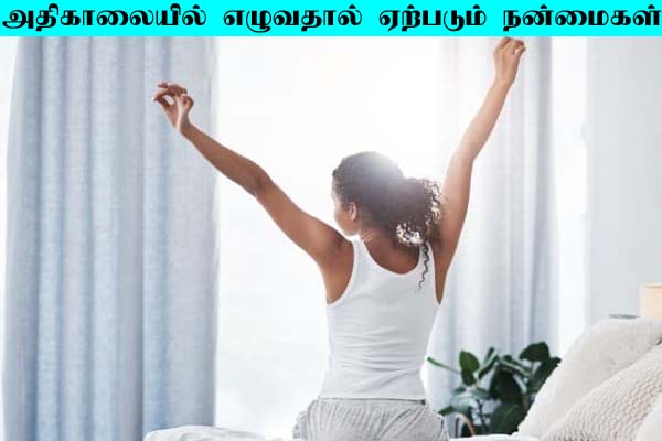நாள் முழுவதும் ஆரோக்கியமாக இருக்கனுமா? அதிகாலை எழுந்தால் நடக்கும் அதிசயம்