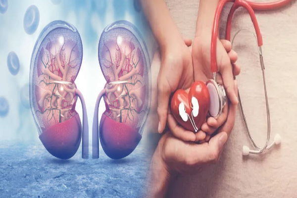 சிறுநீரக புற்றுநோய் வந்தால் ஆரம்ப அறிகுறிகள் இப்படித்தான் காட்டுமா?