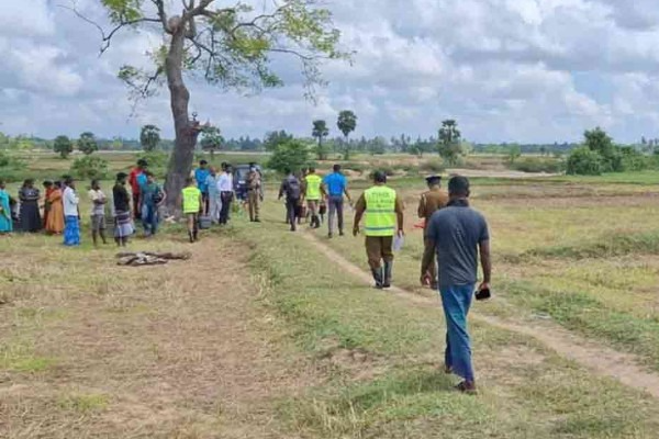 வயலுக்கு சென்ற இளம் குடும்பஸ்தருக்கு நேர்ந்த விபரீதம் ; தமிழர் பகுதியில் சோக சம்பவம்