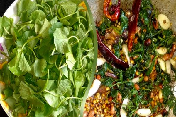 யாரெல்லாம் வல்லாரை கீரை சாப்பிடக் கூடாது தெரியுமா?ஆபத்து விளிம்பில் நிற்கும்!