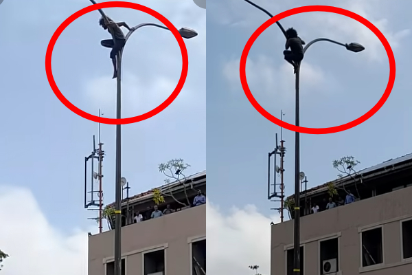 கொழும்பில் மின் கம்ப உச்சிக்கு ஏறிய இளைஞனால் பரபரப்பு!