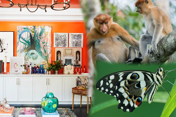 வீட்டிற்குள் இந்த உயிரினங்கள் வந்தால் துரதிர்ஷ்டம் ஏற்படுமாம்... கட்டாயம் தெரிஞ்சிக்கோங்க