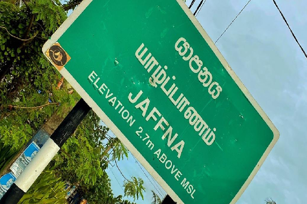யாழில் இளம் குடும்பஸ்தர் திடீர் மரணம்