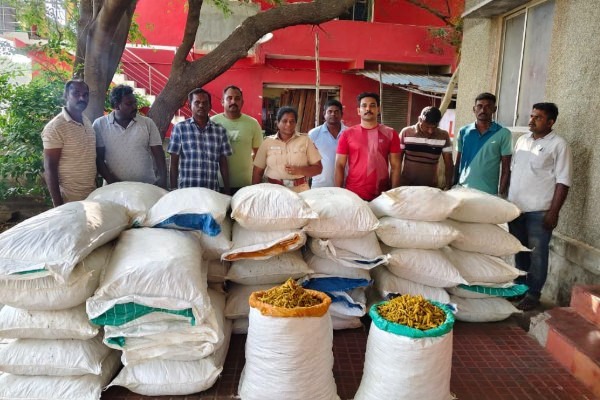 இலங்கைக்கு கடத்துவதற்காக பதுக்கி வைக்கப்பட்டிருந்த 1600 கிலோ மஞ்சள் பறிமுதல்