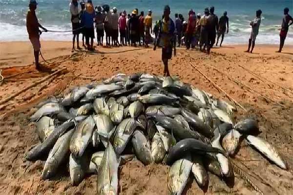 தமிழர் பகுதியொன்றில் அடித்த பெரும் அதிஸ்டம் ; கோடிகளில் கிடைத்த வருமானம்