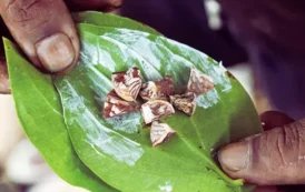 வெற்றிலை சுண்ணாம்பு பாவனை ; 4 சிறுவர்களின் பார்வை பறிபோனது; யாழ் மருத்துவர் பகீர் தகவல்