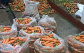 இலங்கையில் கரட்டின் விலை! கொழும்பில் 3000 ரூபா, நுவரெலியாவில் 190 ரூபா