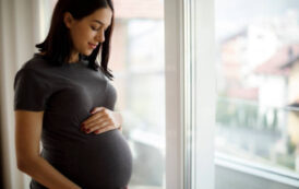 அதிரடி கைதான 19 வயது கர்ப்பிணி பெண் ; தமிழர் பகுதியில் செய்த மோசமான சம்பவம்